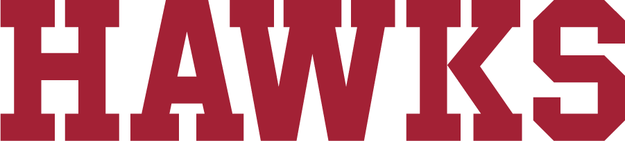 St. Josephs Hawks 2018-Pres Wordmark Logo diy iron on heat transfer